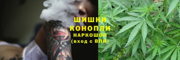 каннабис Богданович