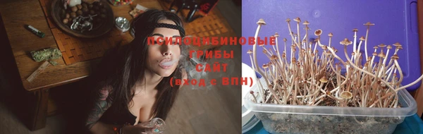 ПСИЛОЦИБИНОВЫЕ ГРИБЫ Богородск