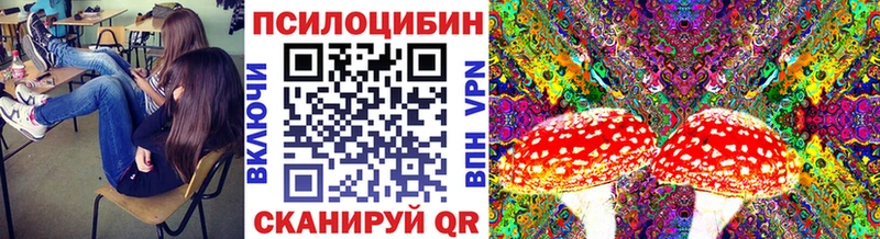 Галлюциногенные грибы GOLDEN TEACHER  сколько стоит  Михайлов 